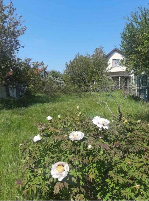 Продам участок земли под строительство вашего дом мечты!