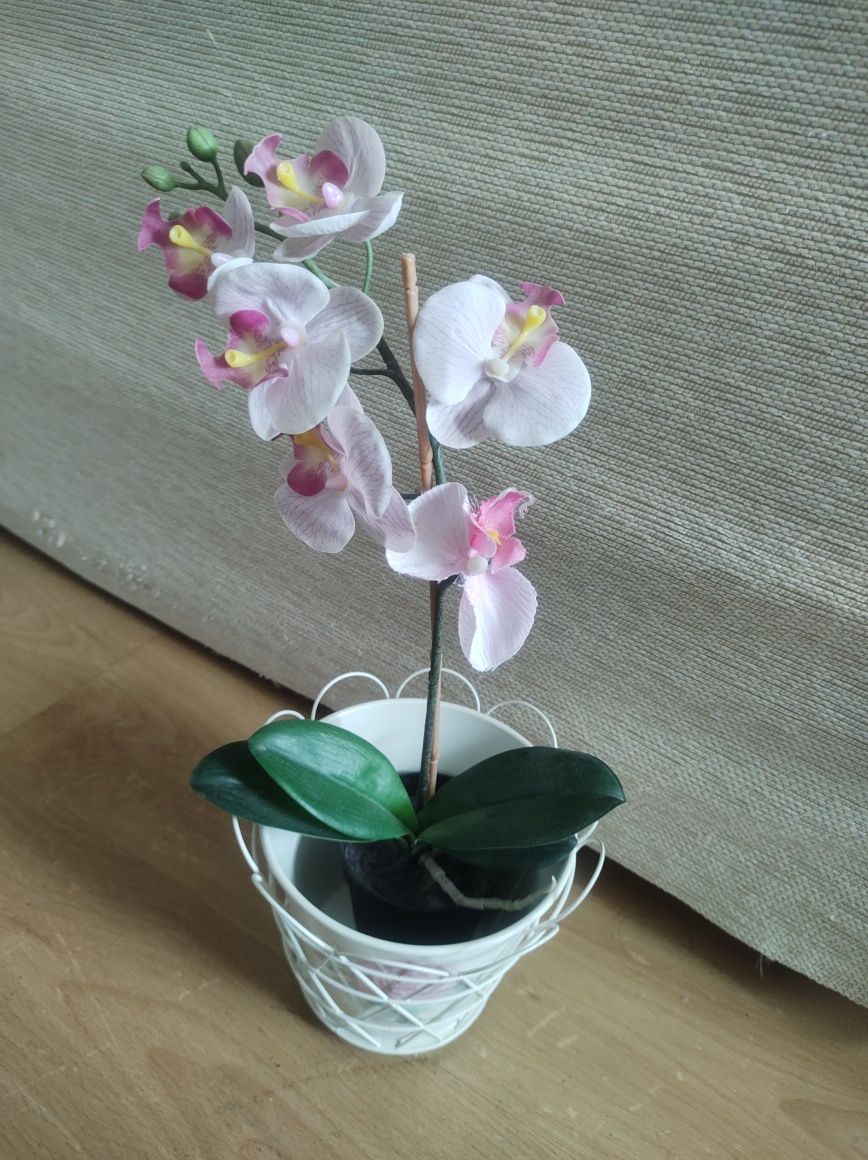 Planta de decoração orquídea com vaso em metal e cesto de metal