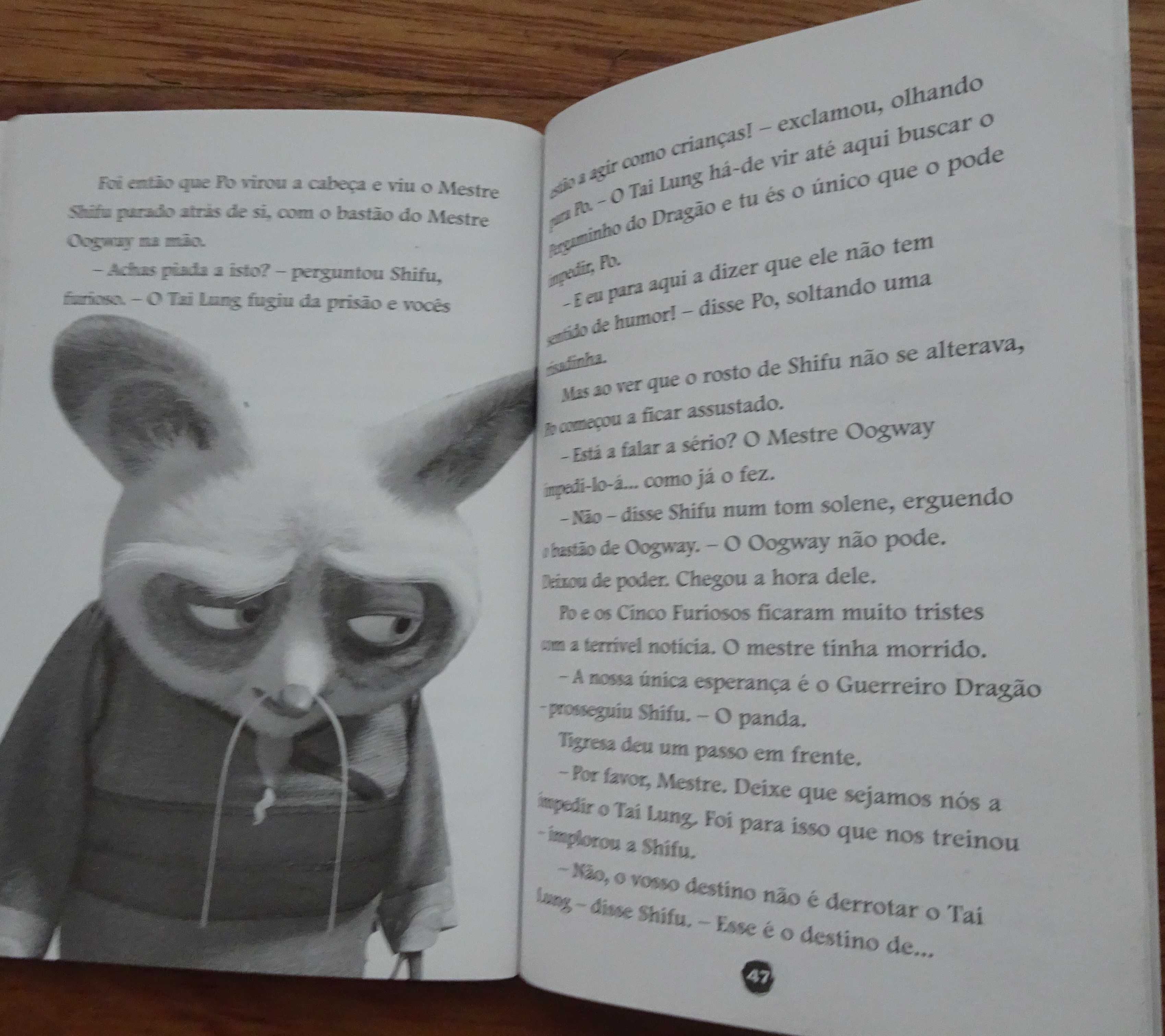 Kung Fu Panda (O Segredo do Pergaminho)