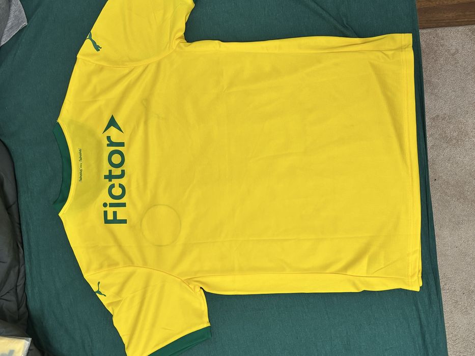 Camisa Palmeiras 2025