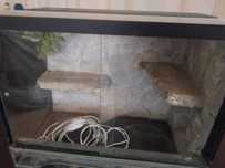 Sprzedam terrarium