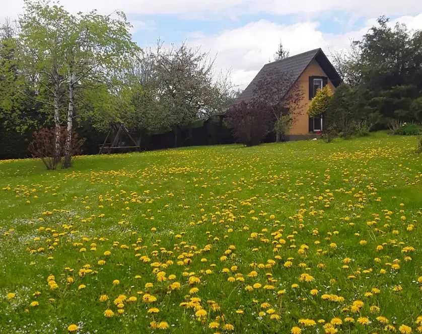 Domki Rodzinne nad Sanem Bieszczady Solina