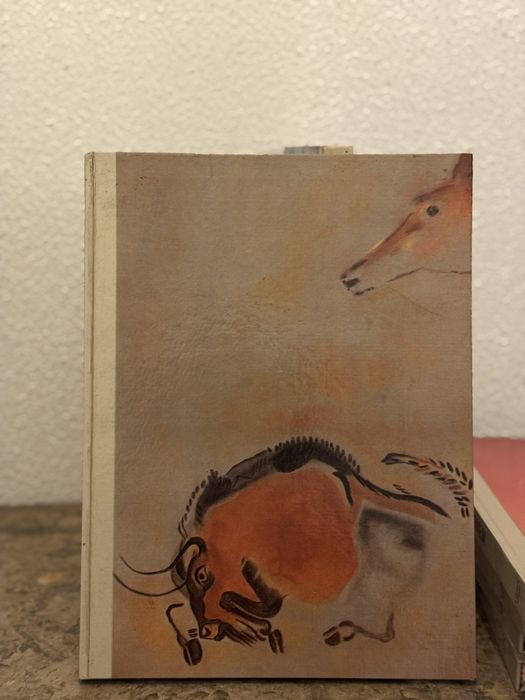 Livros - Grandes enigmas do Homem