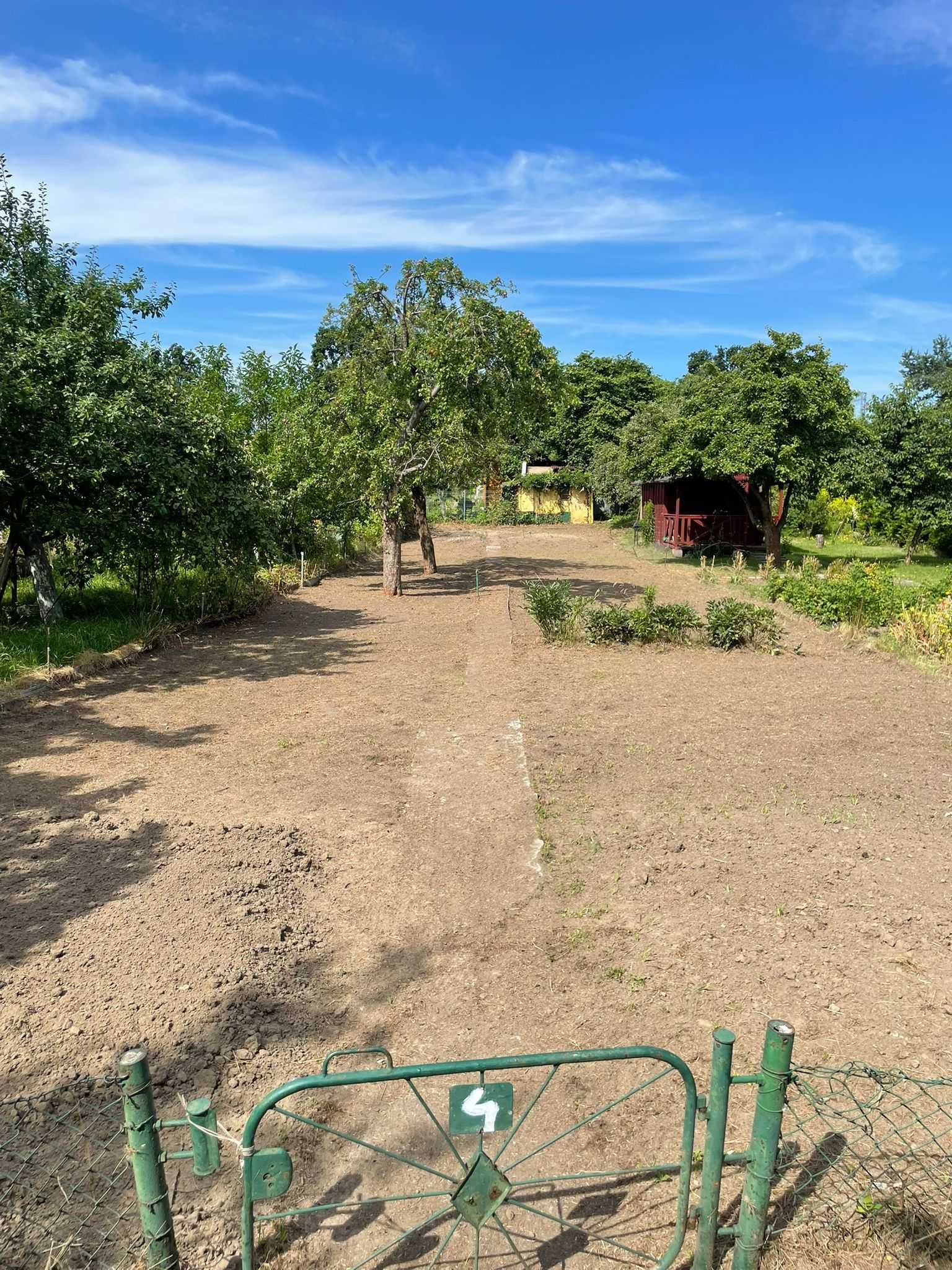 Działka ROD Gdynia al. Zwycięstwa 370m2