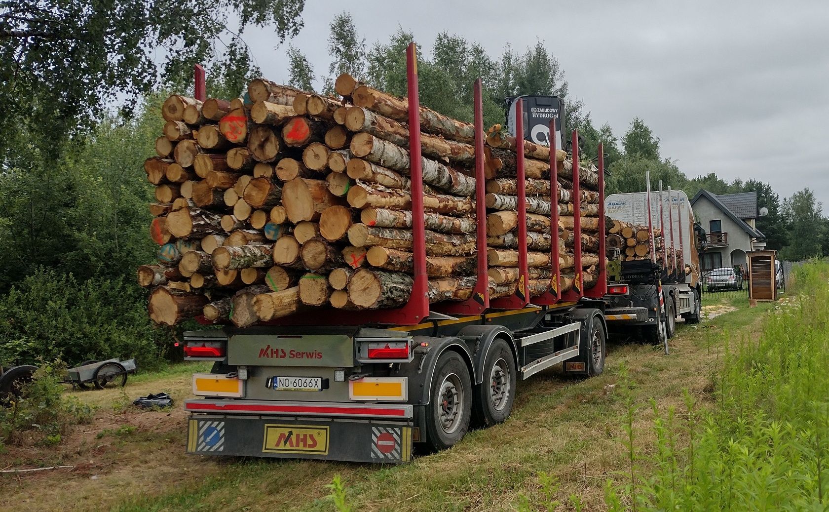 BRZOZA, DĄB Drewno Kominkowe z Dostawą pod DOM * ( opał, opałowe, )