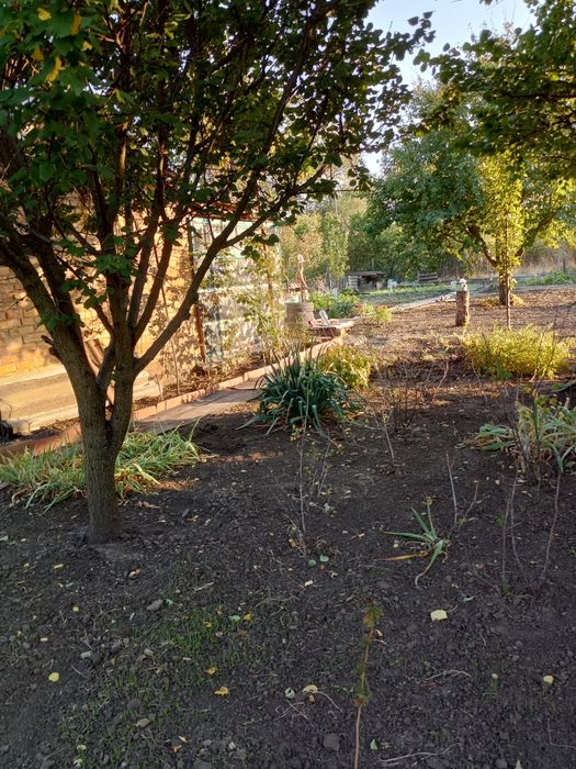 Продам  садовый участок в с/т "Дружба 2".