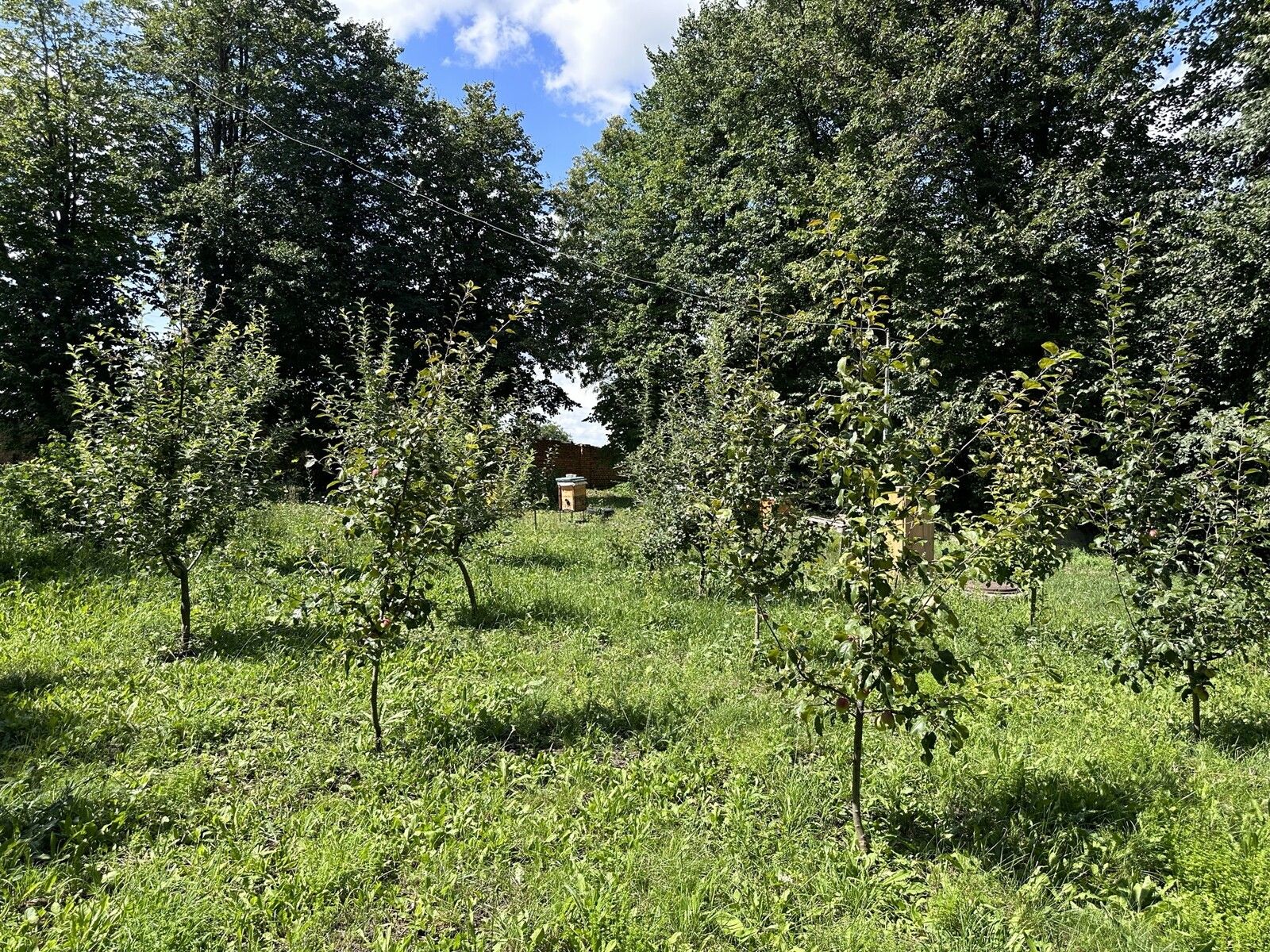 Продаються виробничо-складські приміщення з ділянкою 2,12га.