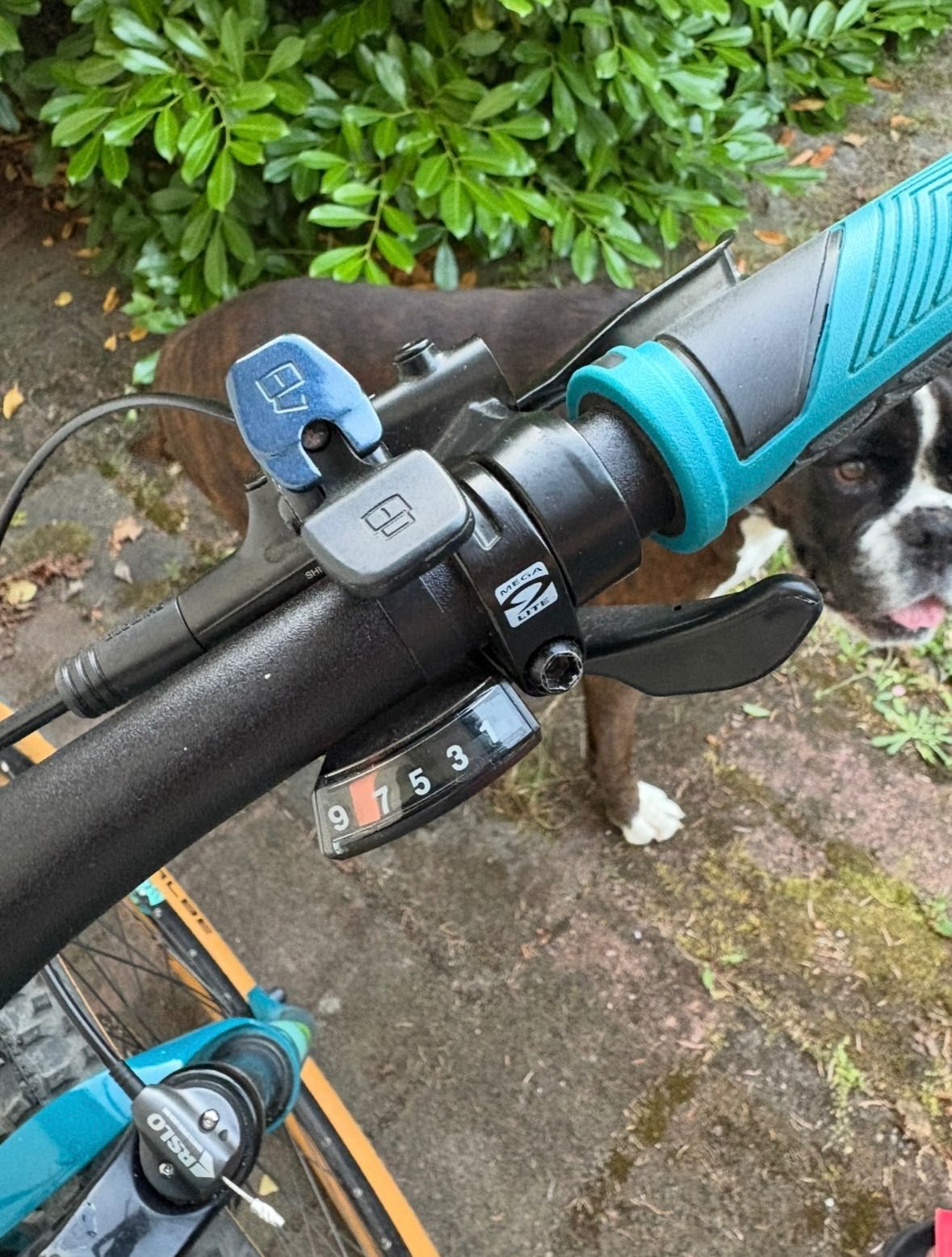 Rower MTB Cube Access Pro 17"
