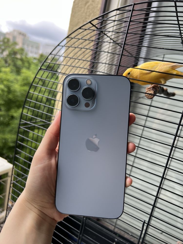 iPhone 13 Pro Max
