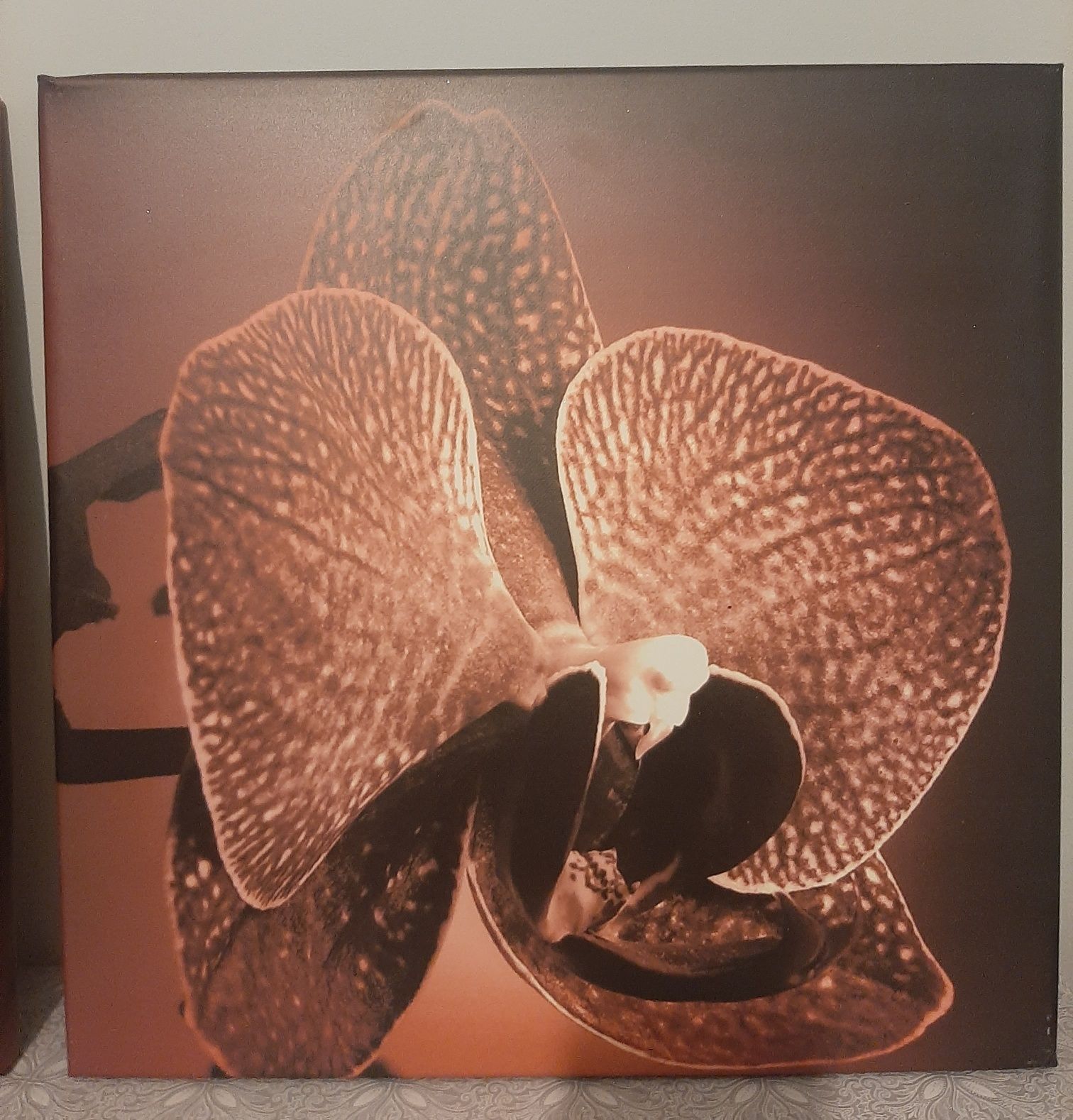 Obrazki tryptyk 120 x 40  3 szt.: 40x40 róża orchidea storczyk