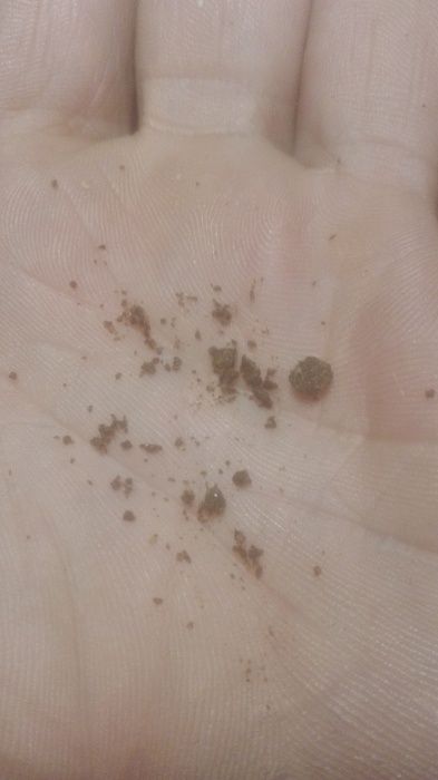 Drobny pokarm dla rybek