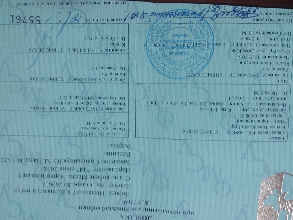 продам цуценята ягтерєра