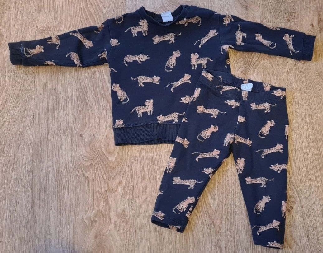 Komplet w gepardy bluza legginsy unisex H&M rozm 74