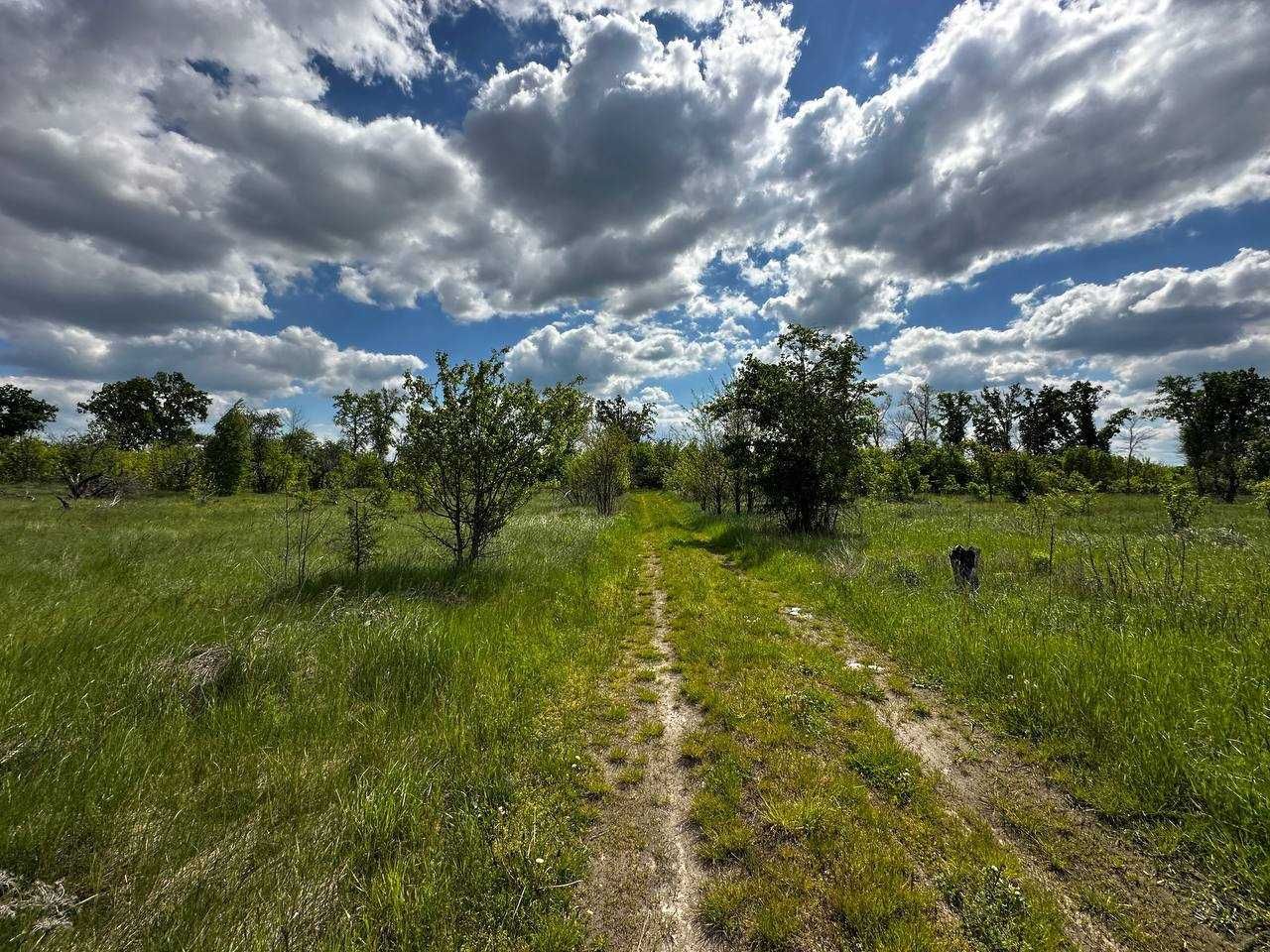 Продаж ділянки 37,11 соток ОСГ. Локація - (Гостомельські сади). ID:712
