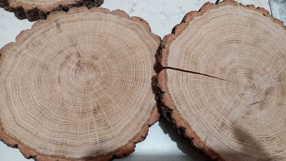 Слэб, торцевой срез дерева, спил, панно, декор из дерева