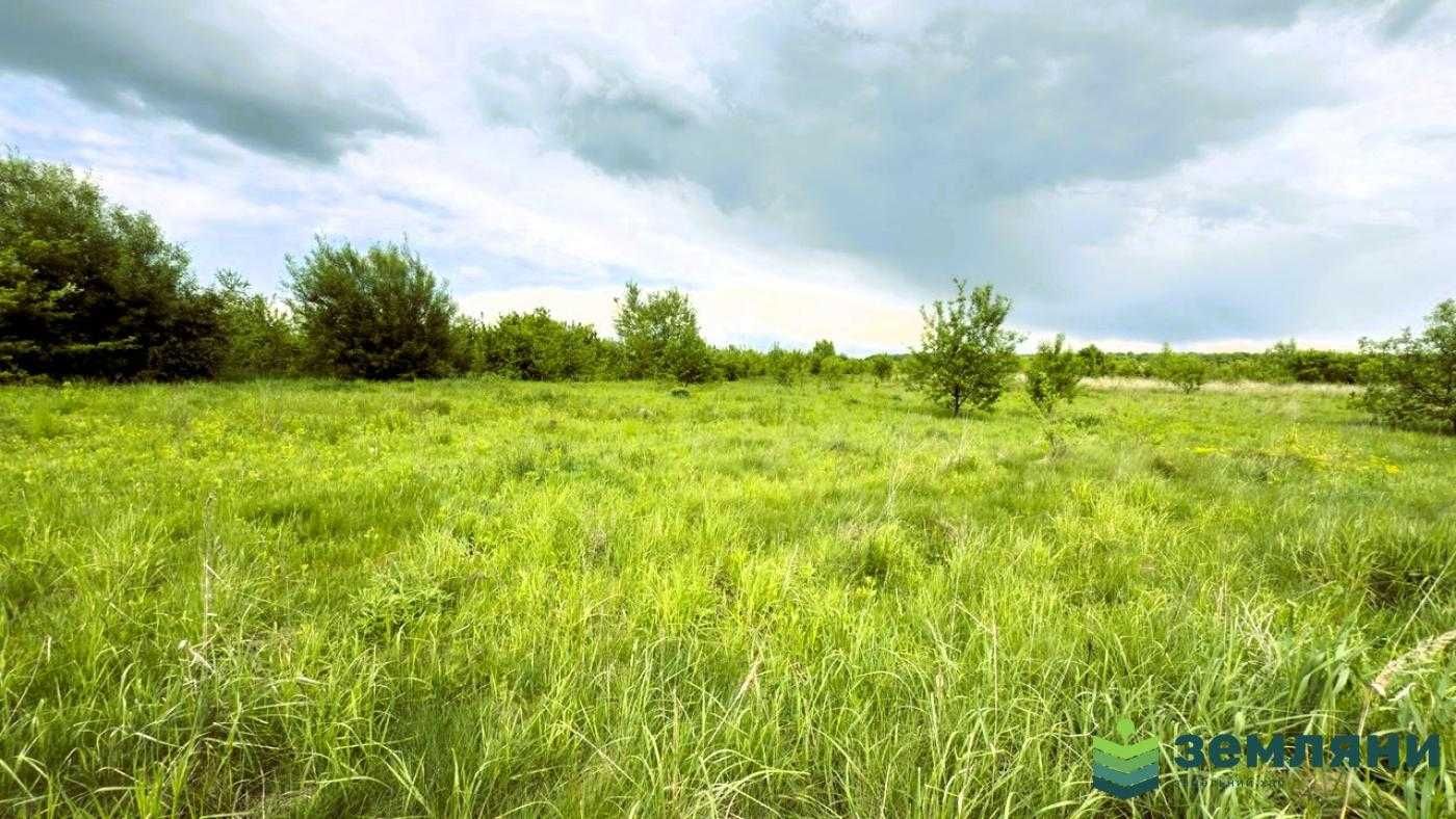 Продається ділянка 20 сот в с. Березівка