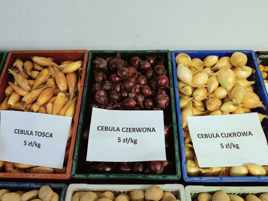 Warzywa od rolnika
