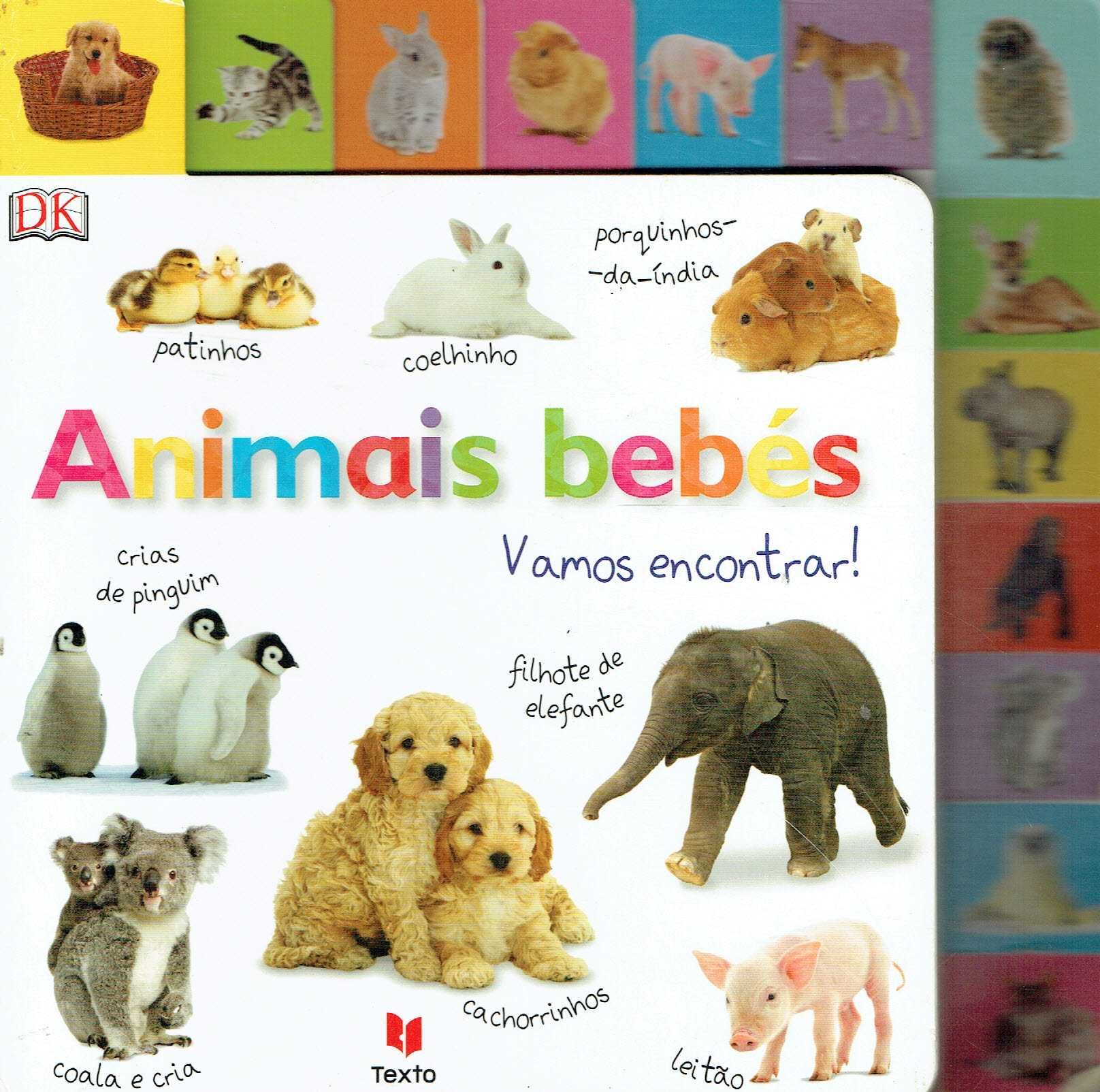 14674

Animais Bebés: Vamos Encontrar!

editor: Texto Editores