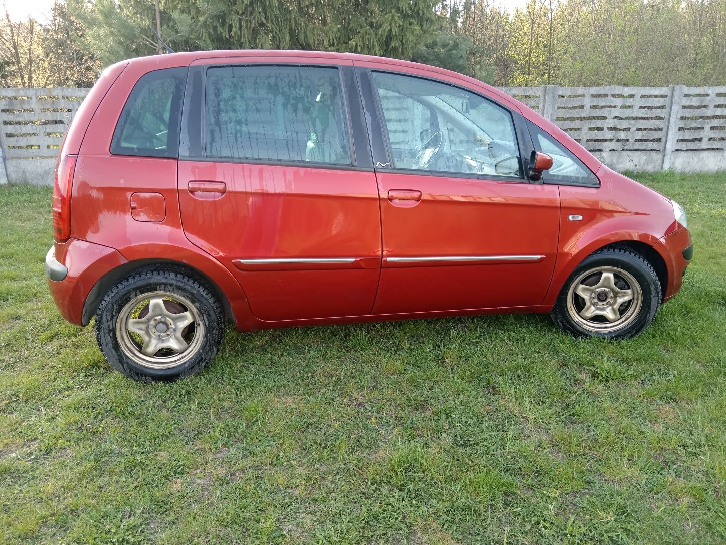 Lancia musa 2005