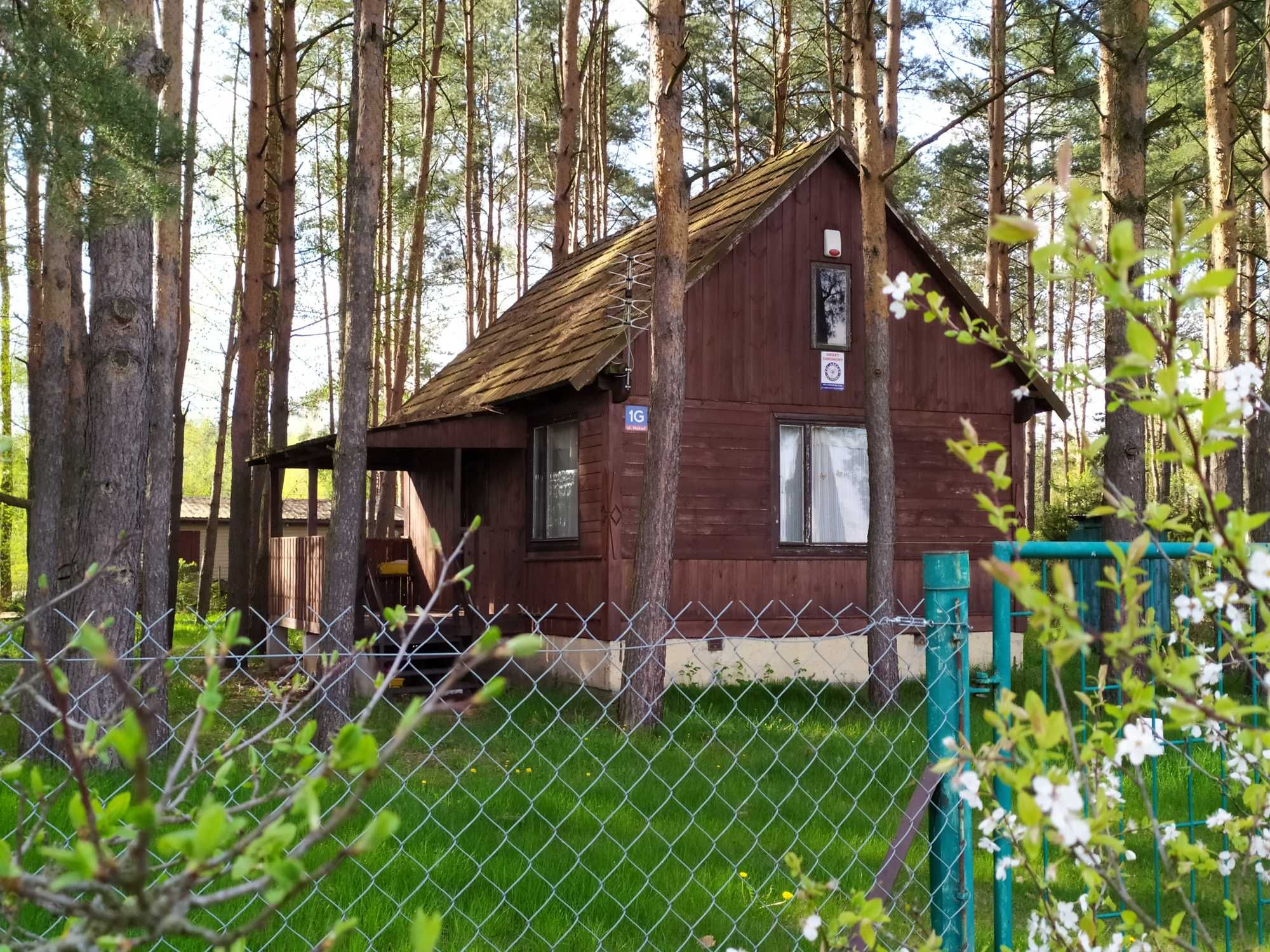 Działka letniskowa Brańszczyk koło Wyszkowa