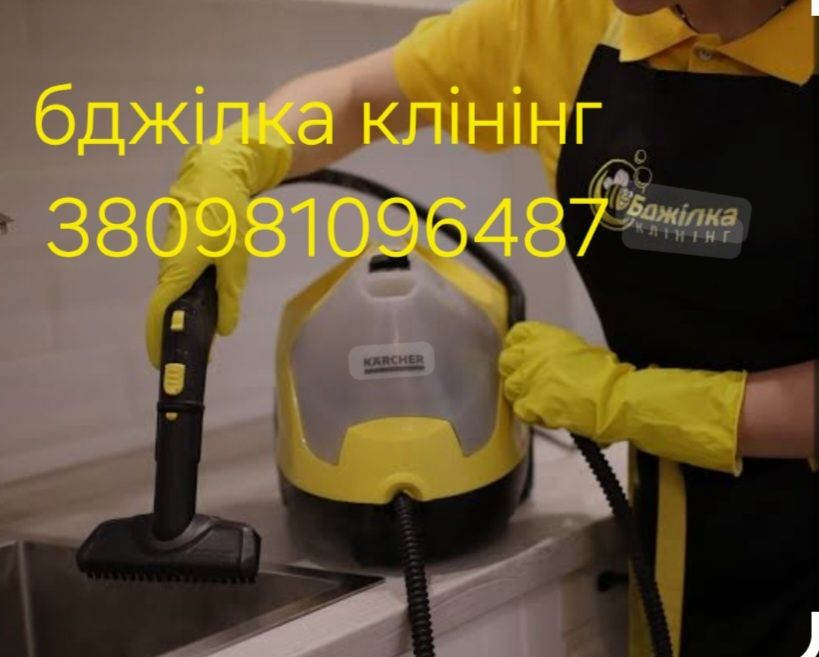 Клінінг бджілка професійне приберання