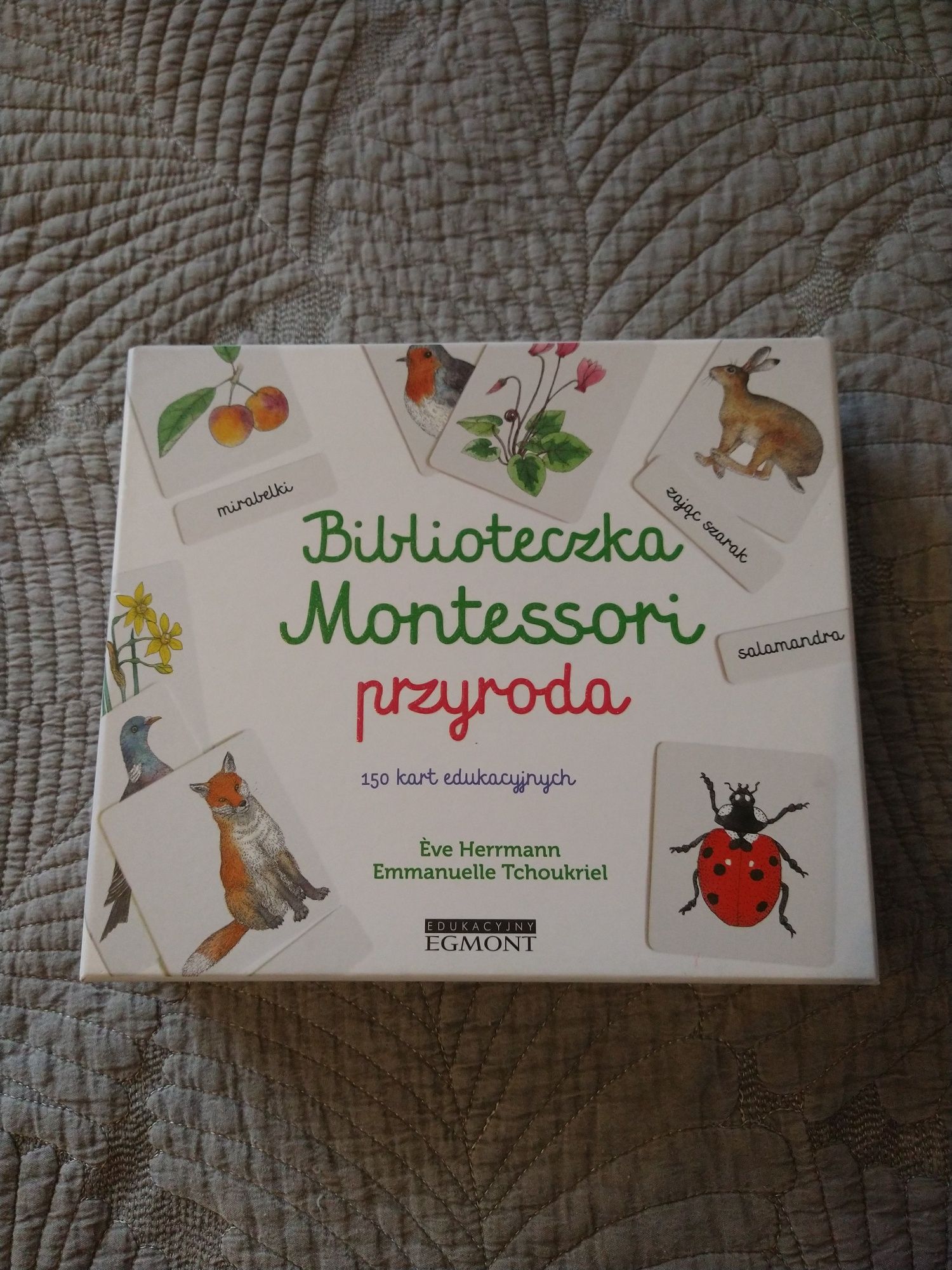 Biblioteczka Montessori Przyroda Egmont