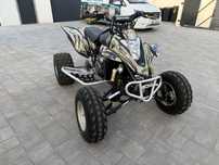 Gas Gas Wild 450 hp