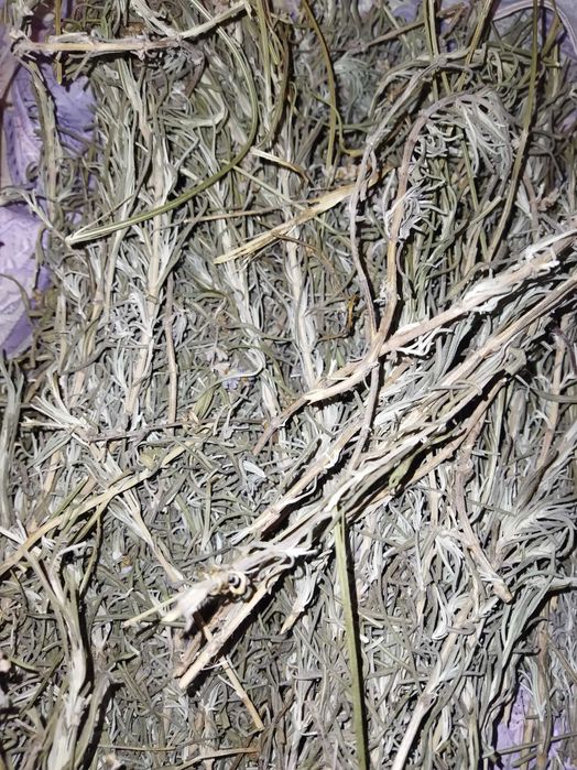 Лаванда сушена  сухоцвіт лаванди