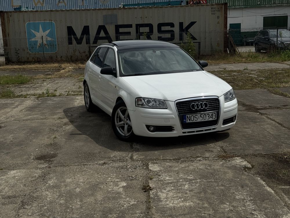 Audi A3 8P S-line 2.0TDI automat/tempomat/alu/lopatki/panorama/skora