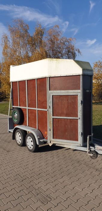 Przyczepa 1300 DMC do koni konna