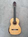 Guitarra Vicente Carrilho India