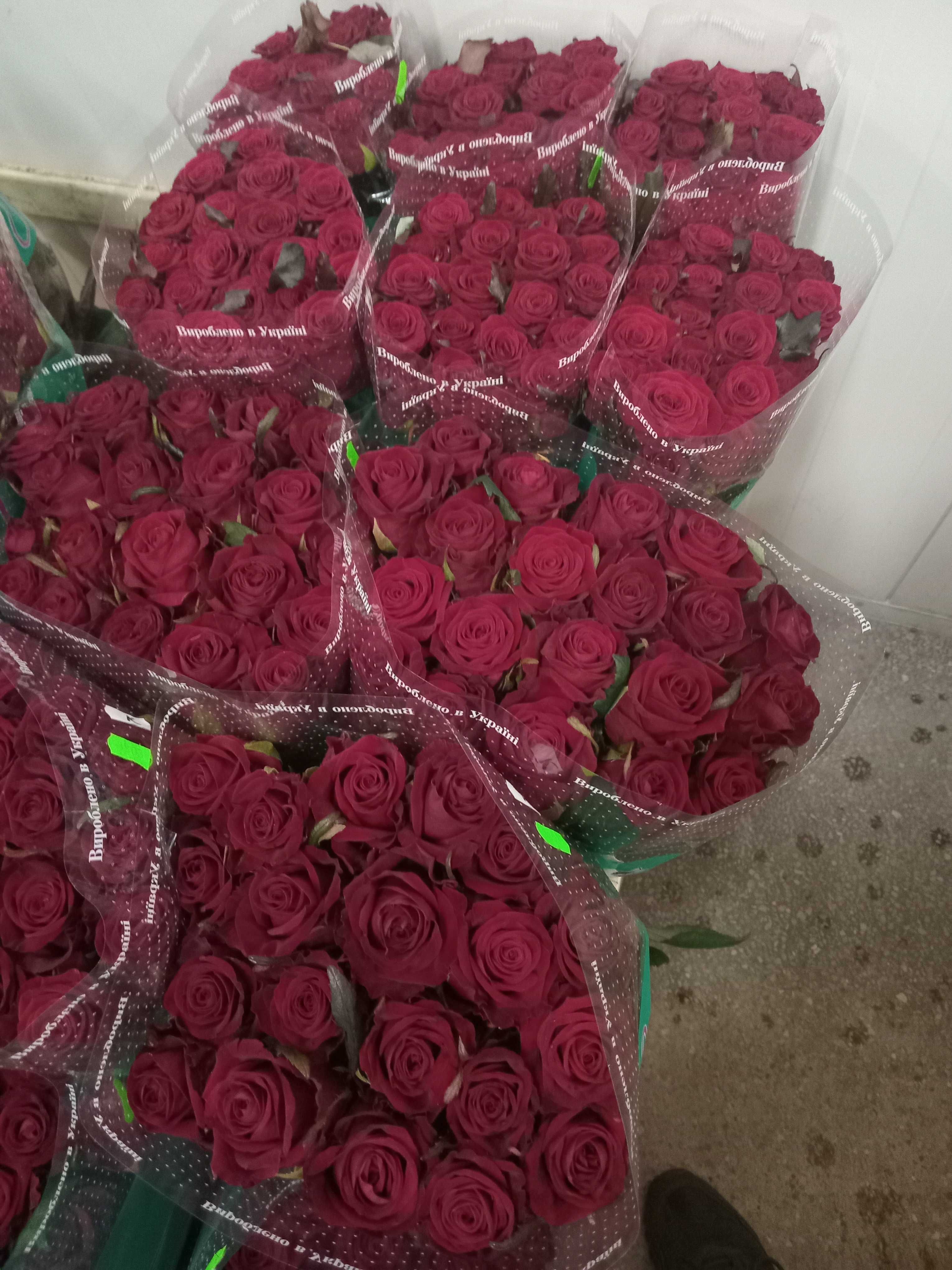 Цветы. Тюльпаны,розы. Доставка цветов.