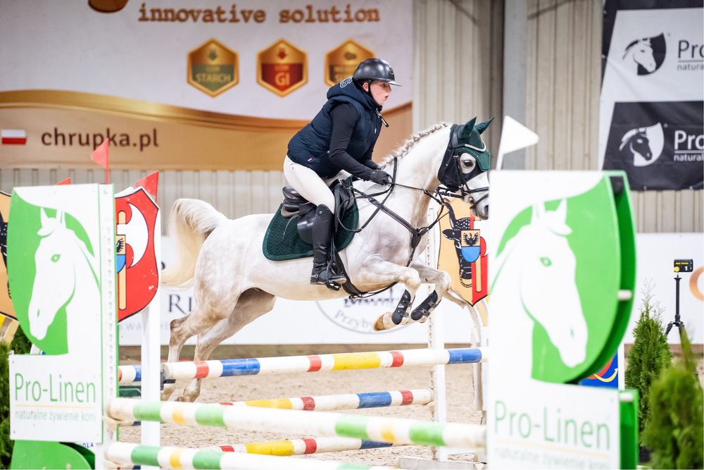 Sprzedam uroczego wałacha w typie araba