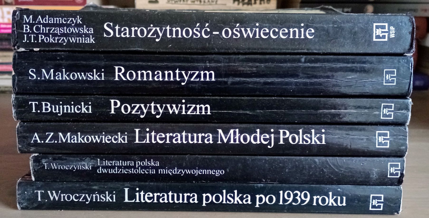 Język polski X 6 czarna seria WSiP Wroczyński,Makowski komplet matura