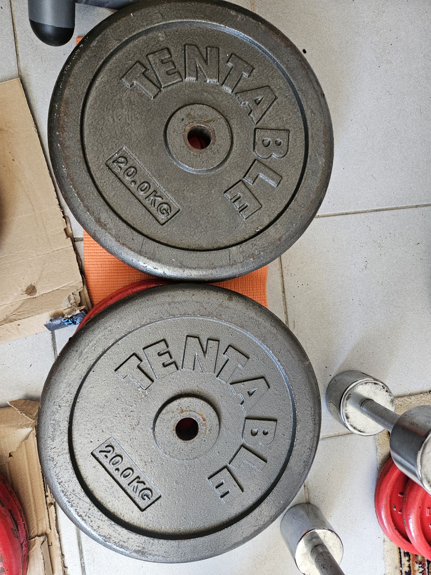 Discos Ginásio pesos