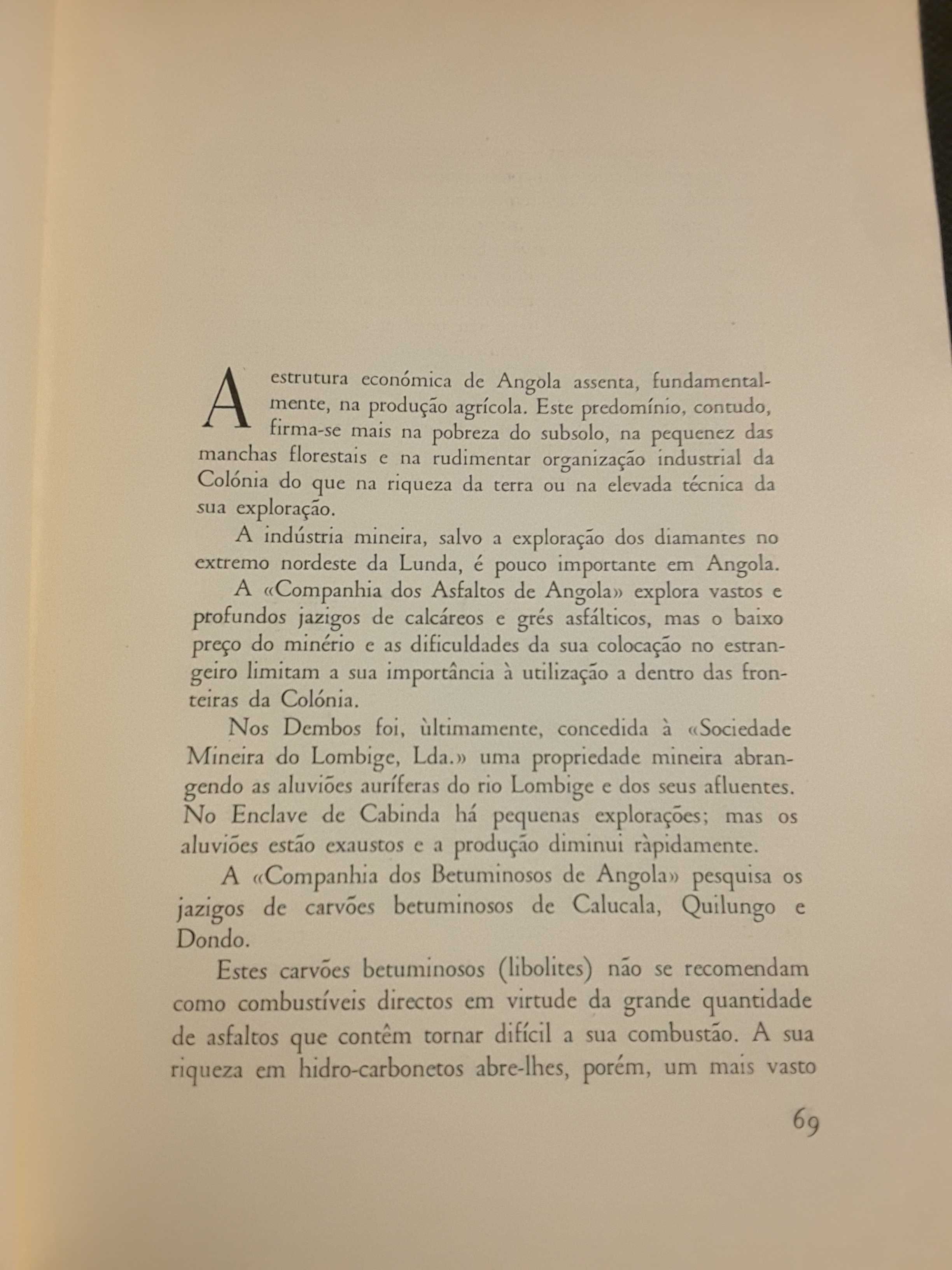 Pensamento Económico / Perspectivas Económicas de Angola