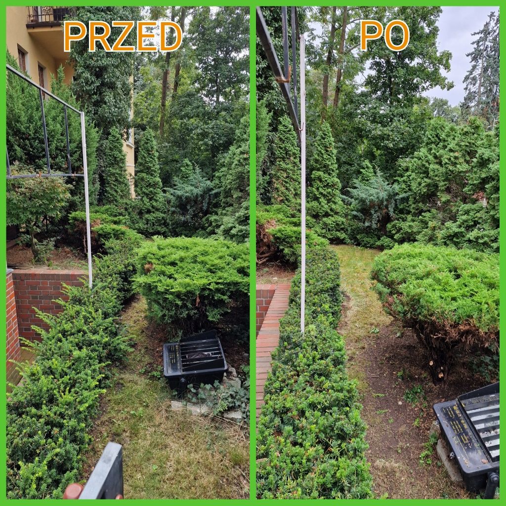 Prace ogrodowe – pomoc w ogrodzie