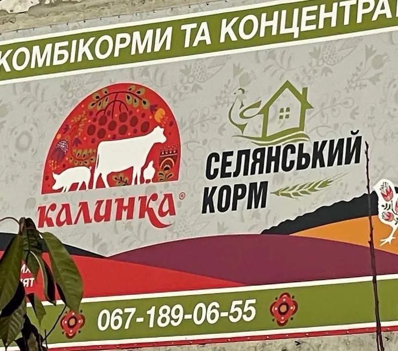 Продам утки, селезни белой голубой немецкой индоутки iндокачки шипуни