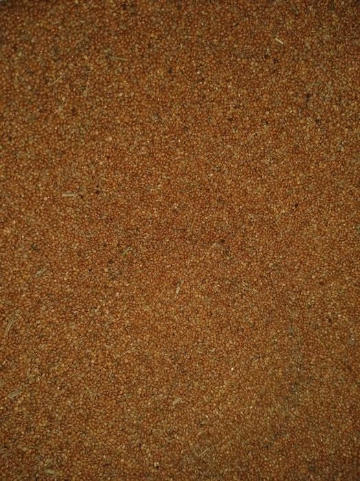 Kukurydza dla kur ryb słonecznik proso owies soja