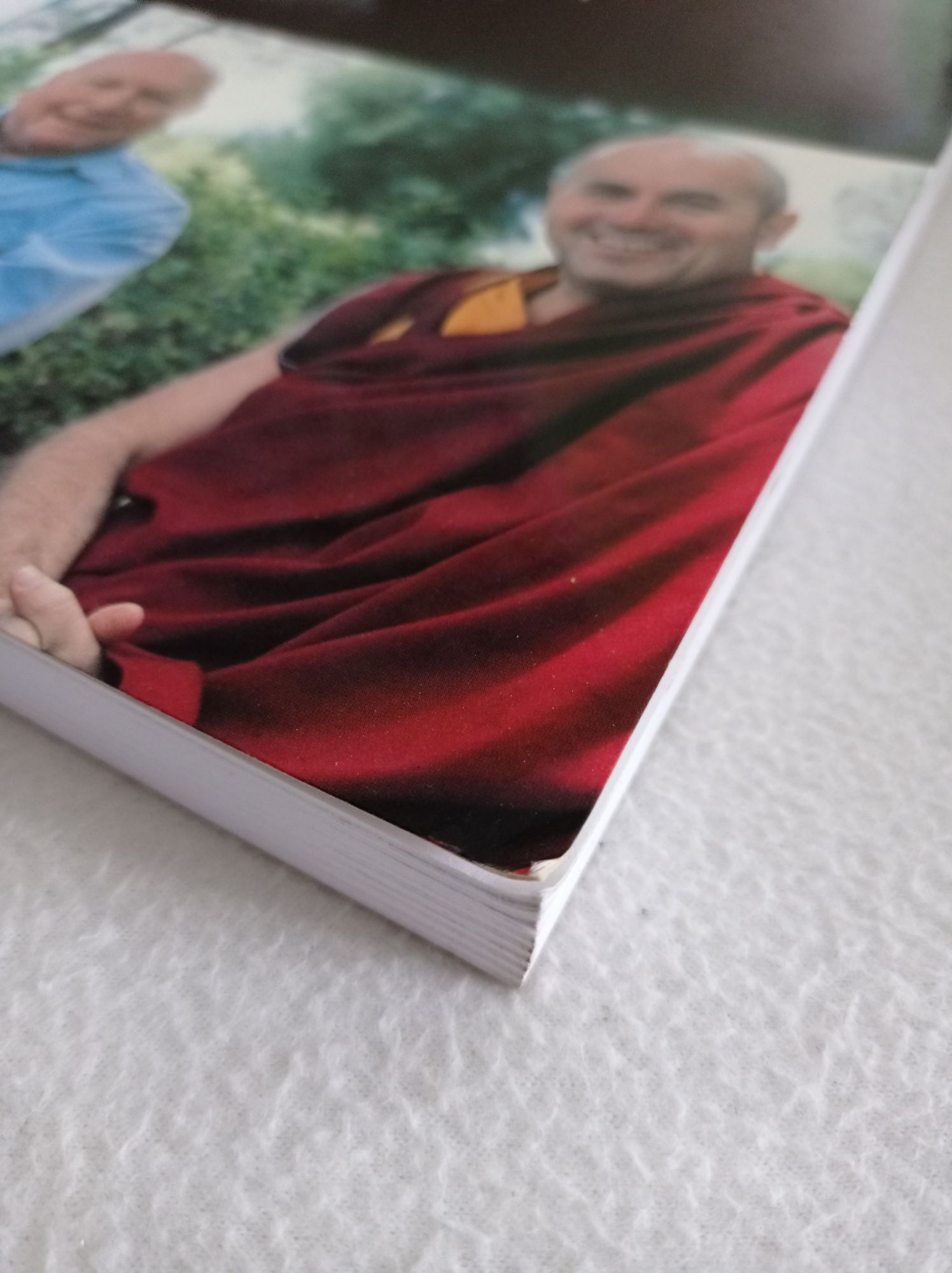 O monge e o filósofo - o budismo hoje