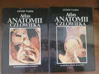 Atlas Anatomii Człowieka  Janoś Vajda