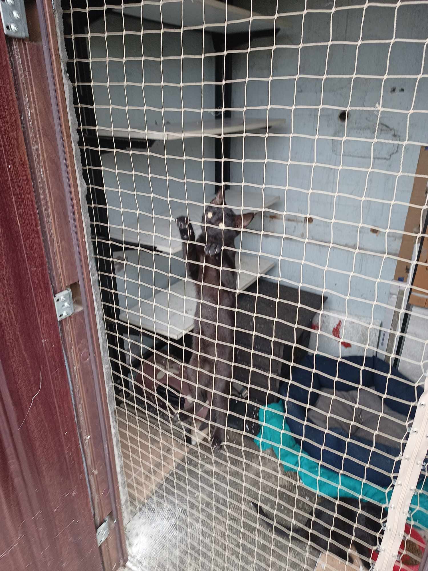 Siatka na balkon, siatka dla kota, siatka przeciw gołebiom