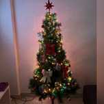 Arvore de Natal