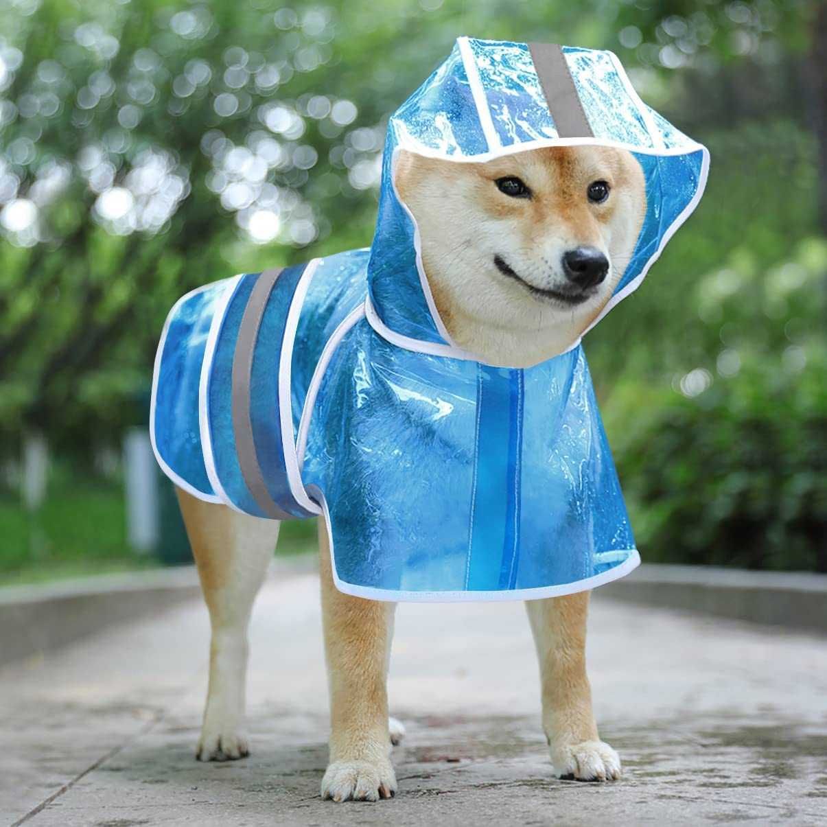 Kurteczka przeciwdeszczowa/płaszcz dla psa, Niebieska transparentna4XL