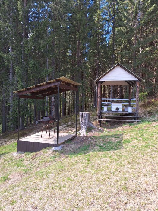 Будинок Ніч в Карпатах