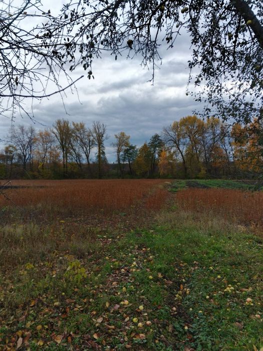 Продається будинок с .Гурівці!