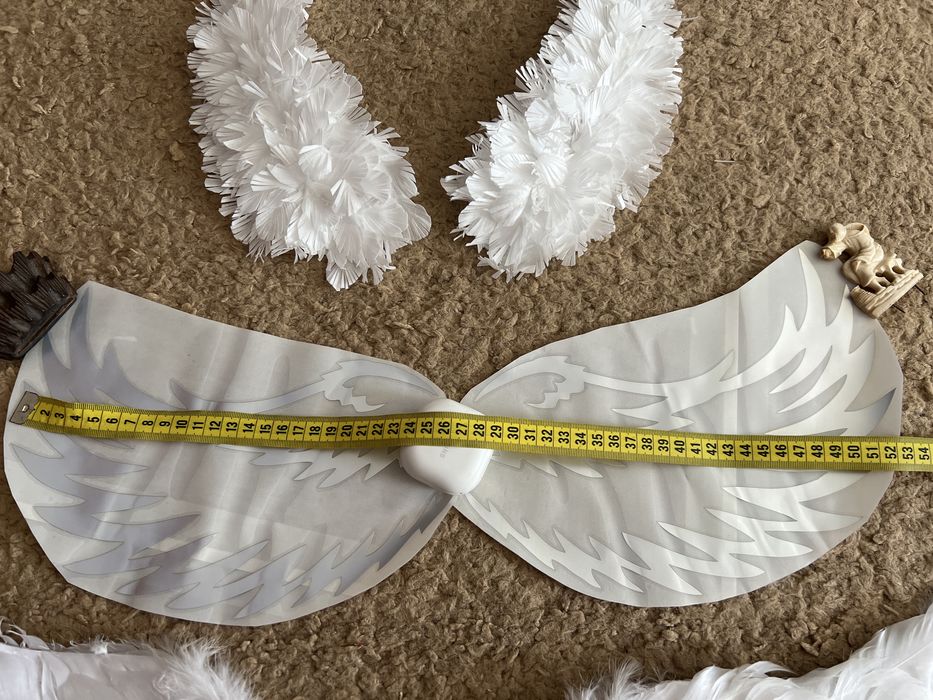 Крила для фотозони та тортика