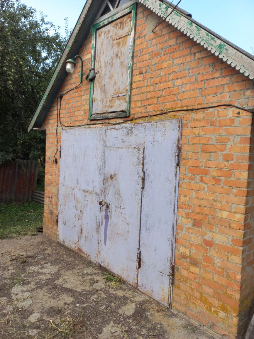 Предоставлю місце,участок для пасіки
