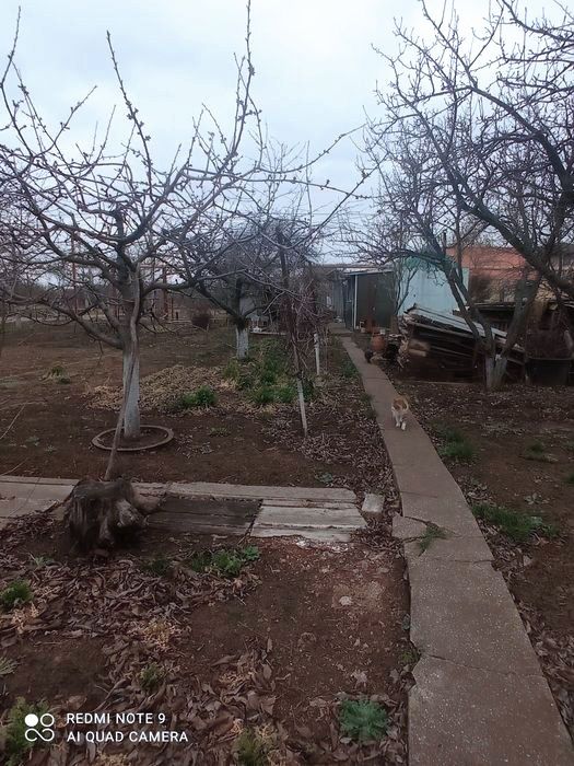 Участок в СК Ветеран-1 массив