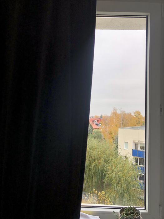 Szare welurowe zasłony IKEA SANELA 250 cm przelotki zacieniające 2 szt